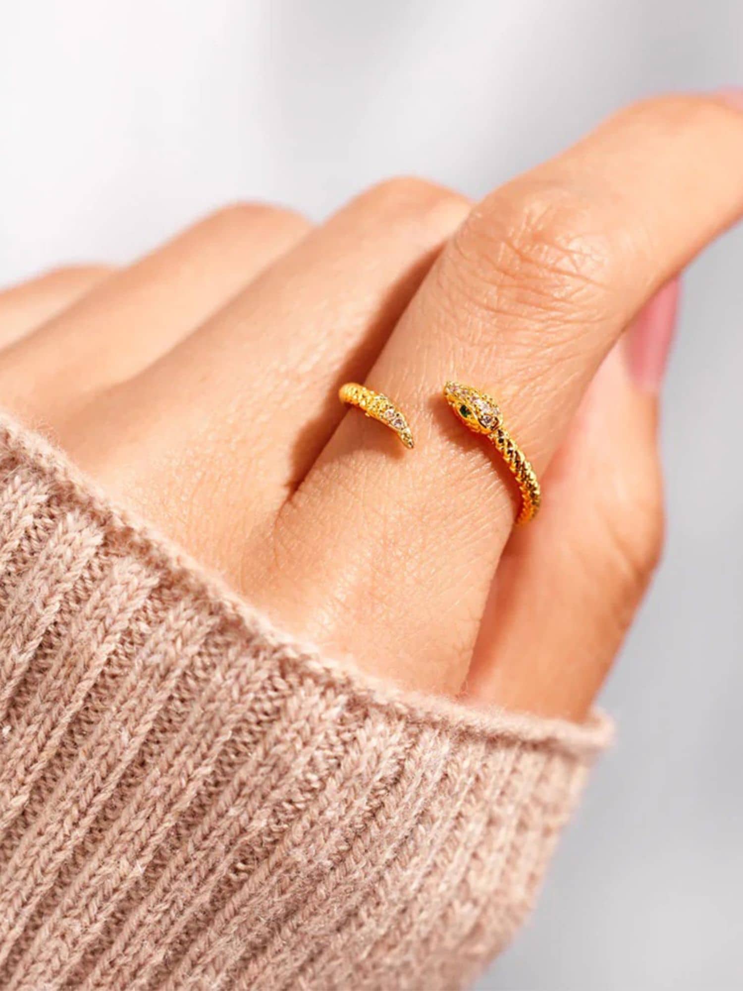 Adjustable snake clearance ring